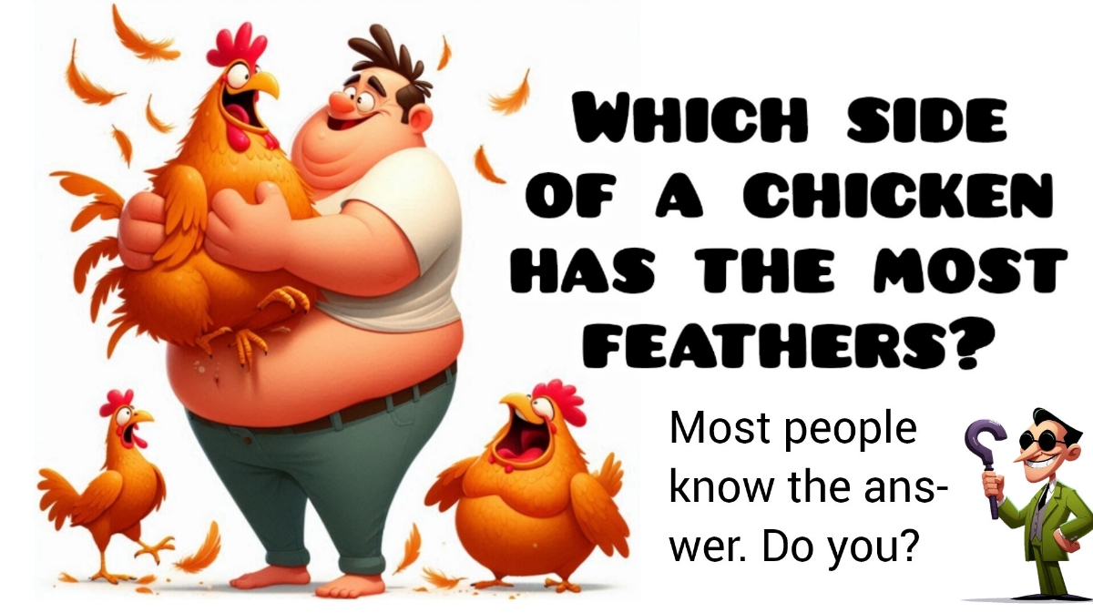 😲WHAT!😲 You Don’t Know Which Side Has the Most Feathers? 👉 Click ANSWER